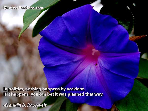 Franklin D. Roosevelt Quotes2